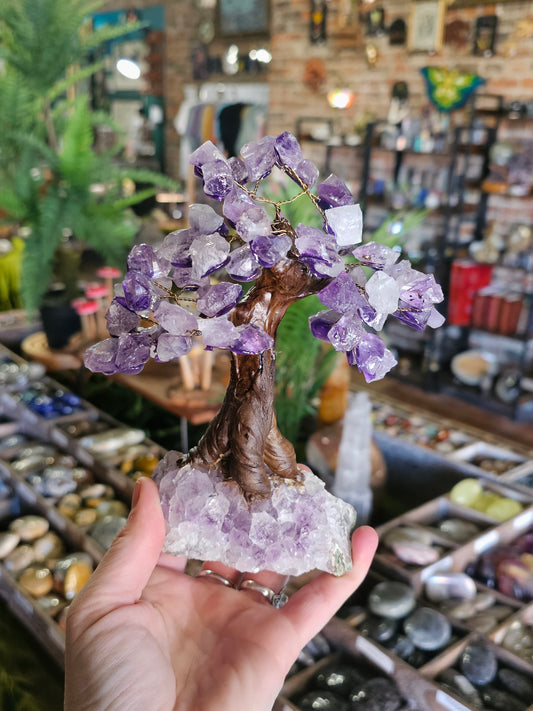 Amethyst Chip Tree on Amethyst Cluster Base