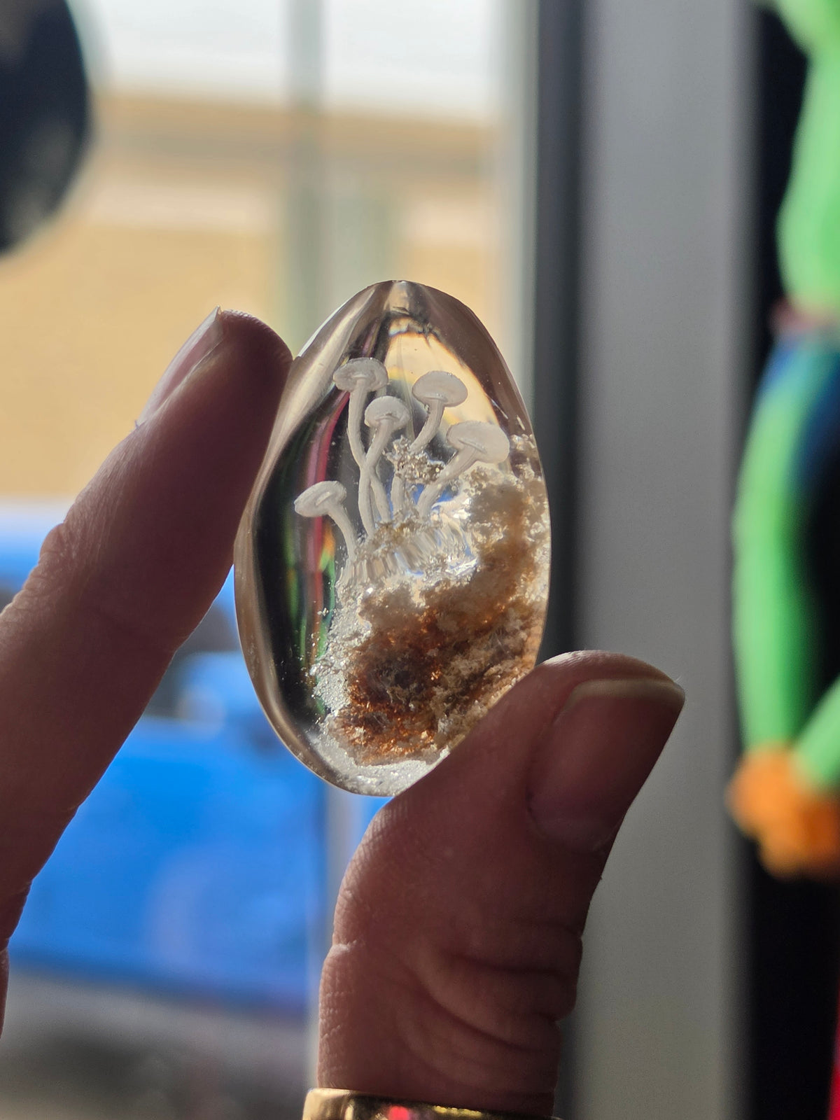 Mushroom Lazer Engraved Garden Quartz