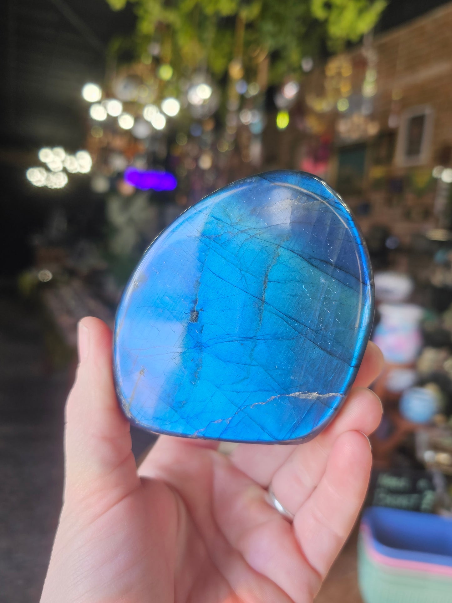 Blue Flash Labradorite freeform