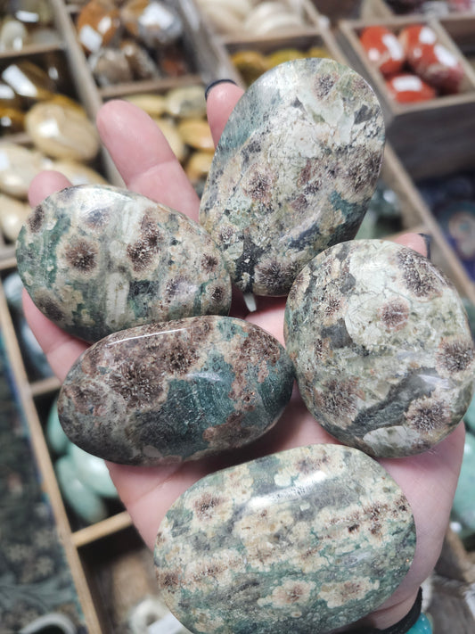Sakura Jasper