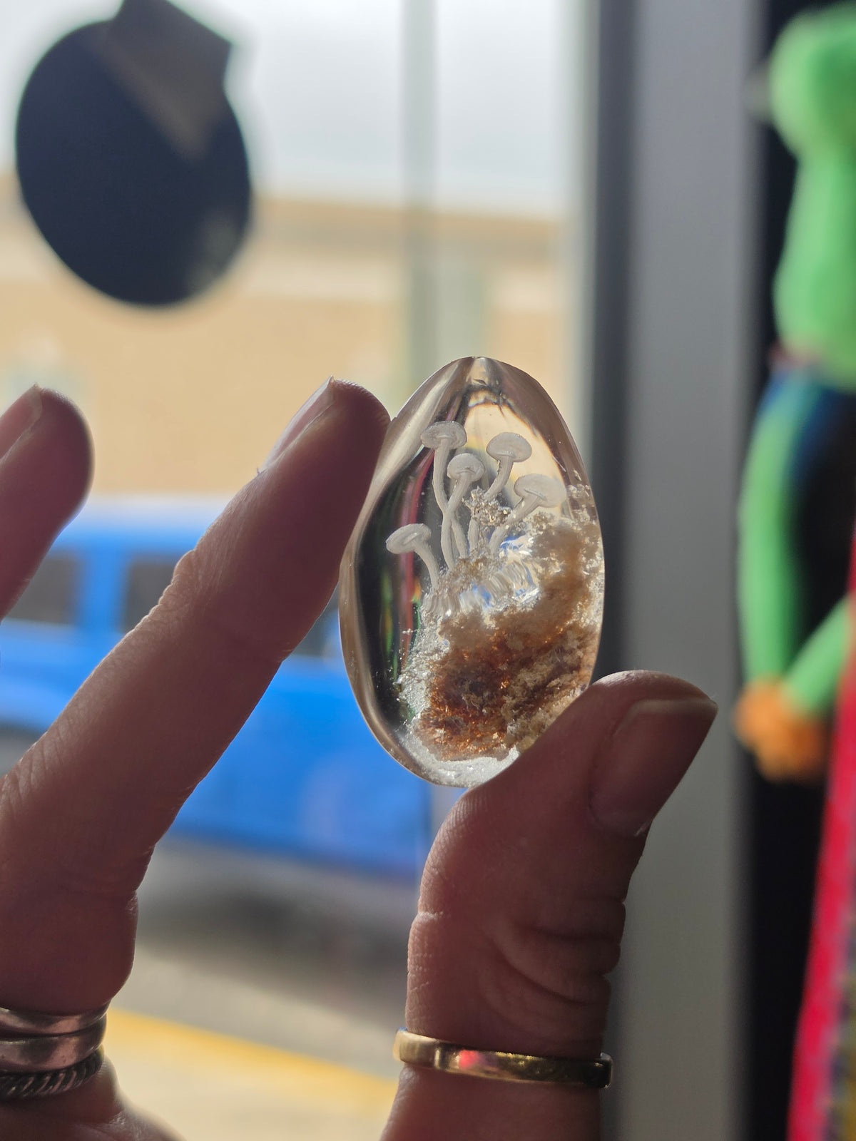 Mushroom Lazer Engraved Garden Quartz
