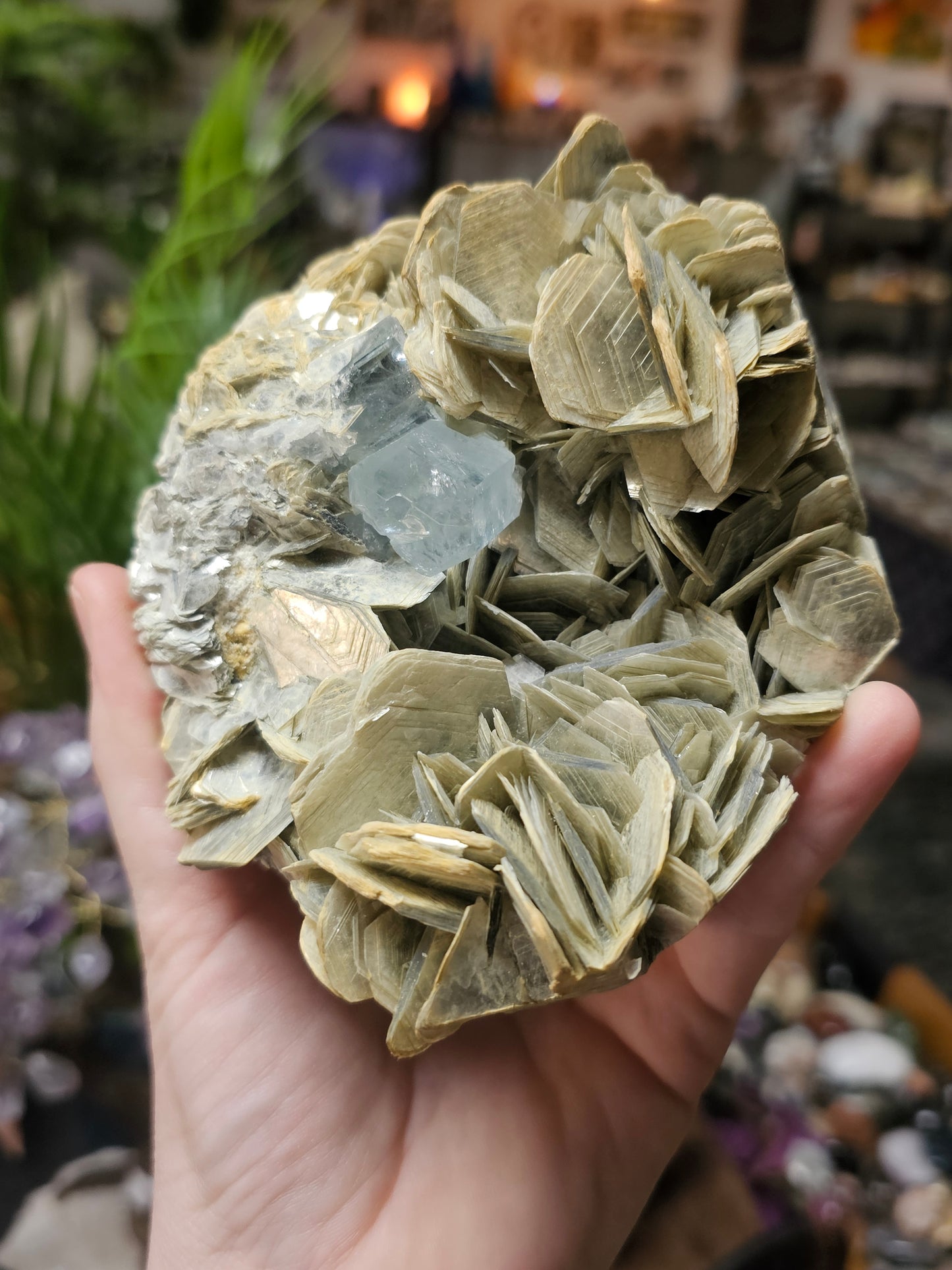 Aquamarine on Muscovite