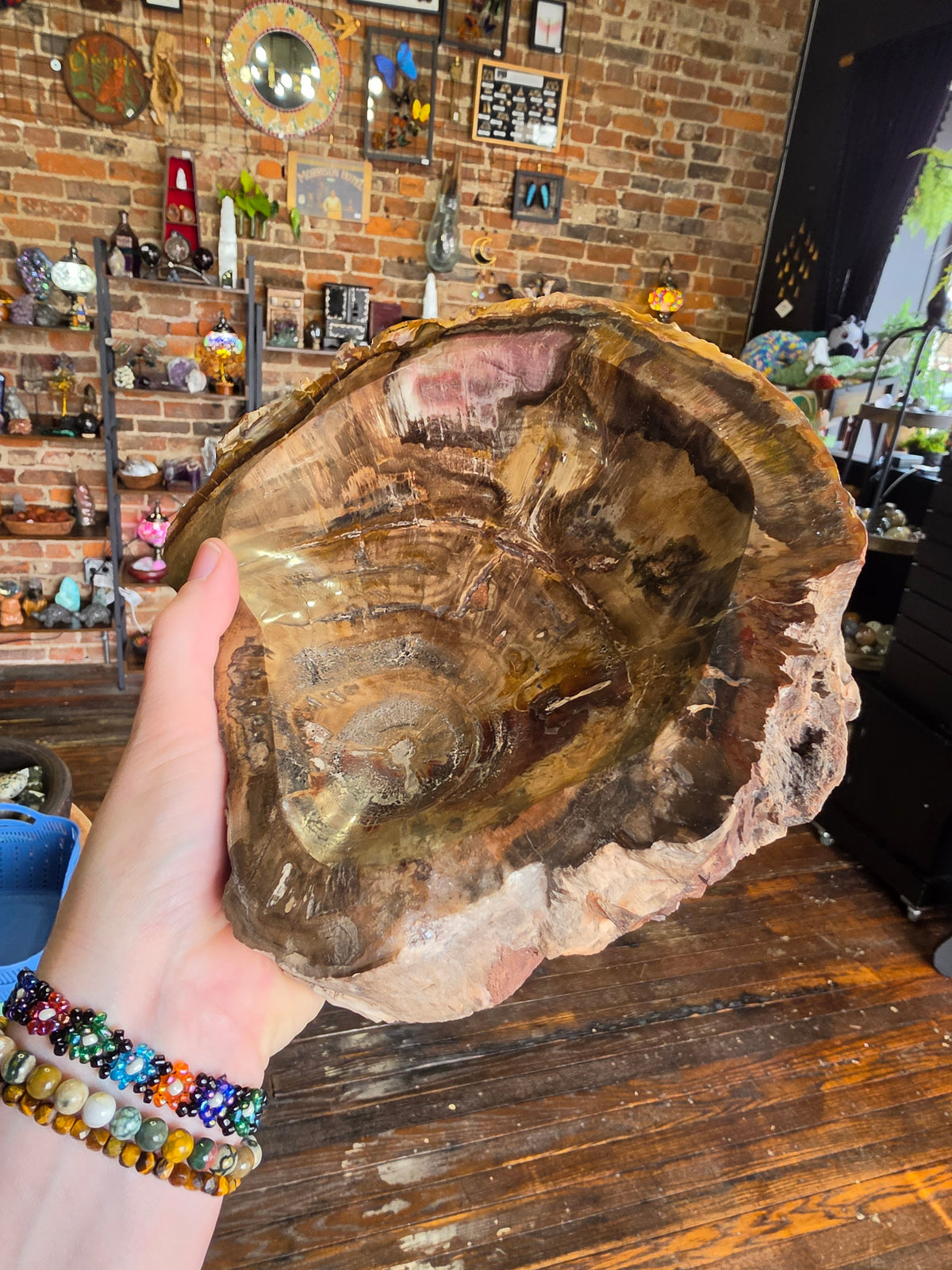 Petrified Wood Bowl