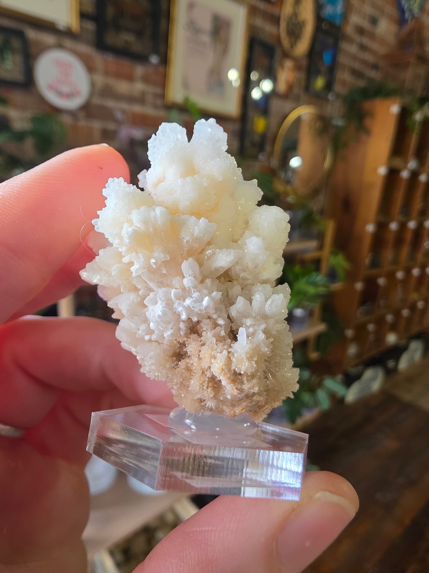 Cave Calcite Cluster