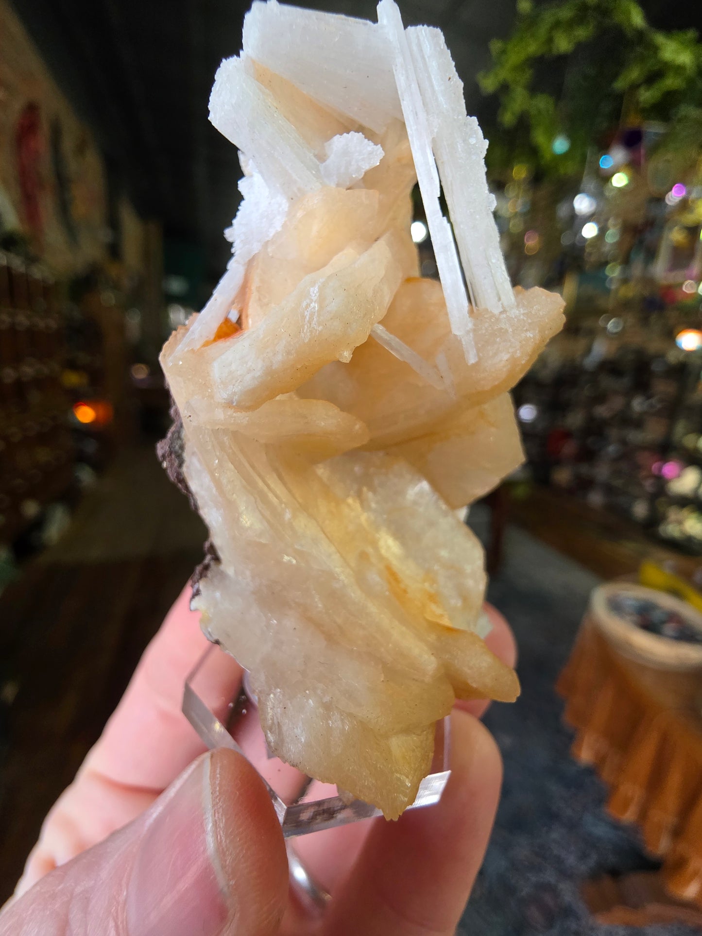 Scolecite on Peach Stilbite