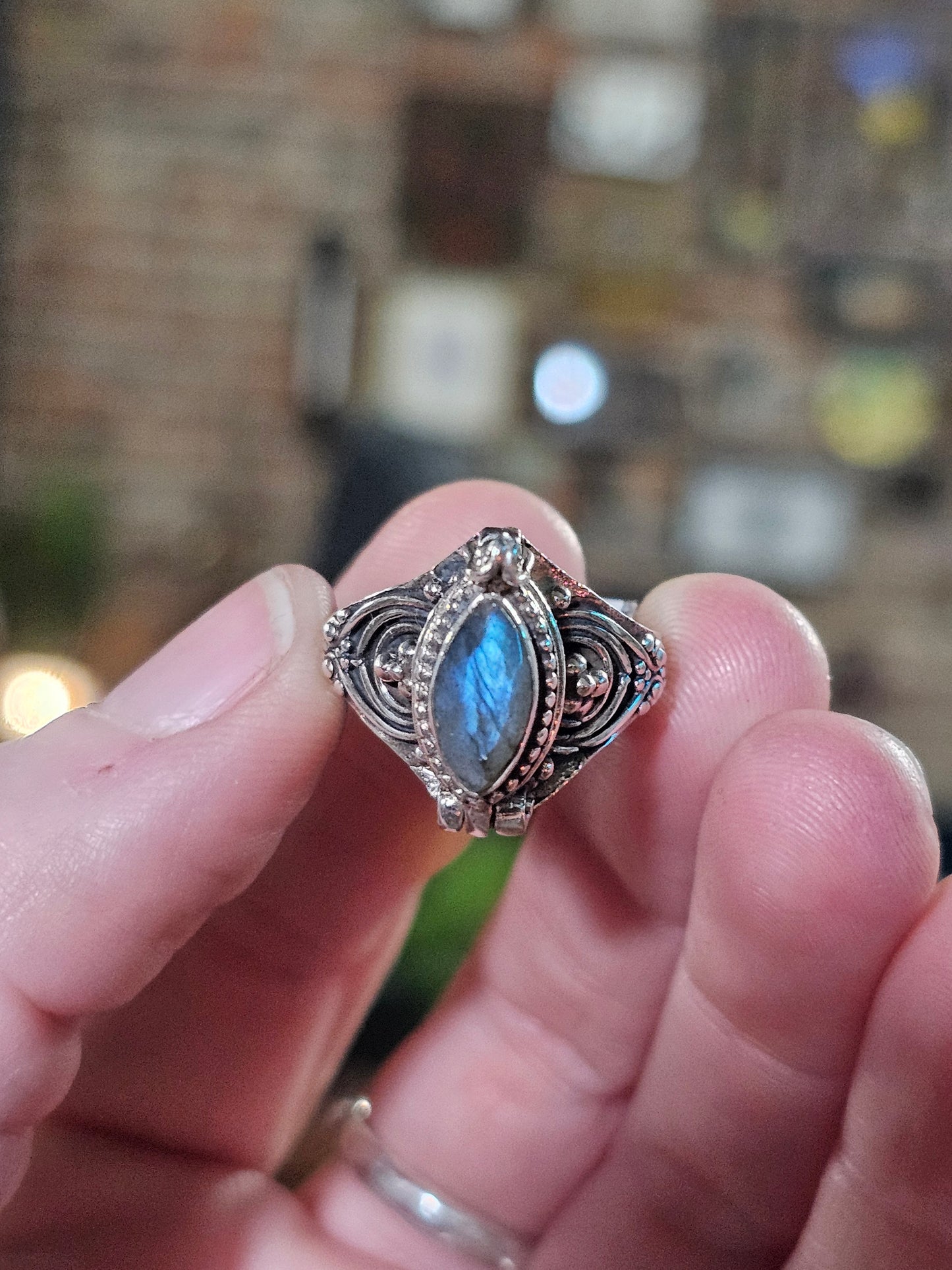 Size 8.5 Labradorite Poison Box Ring