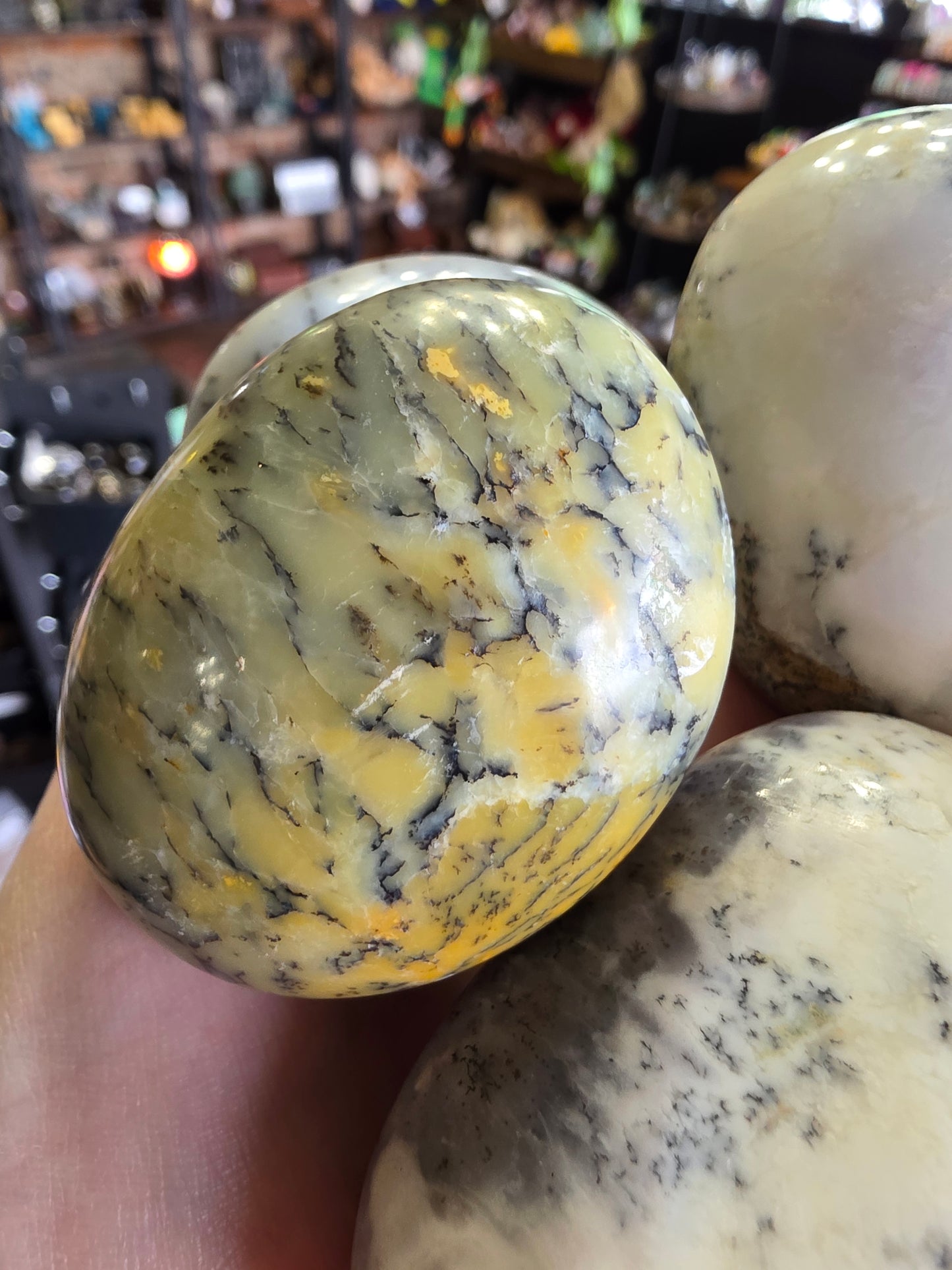 Dendritic Common Opal Palm Stone