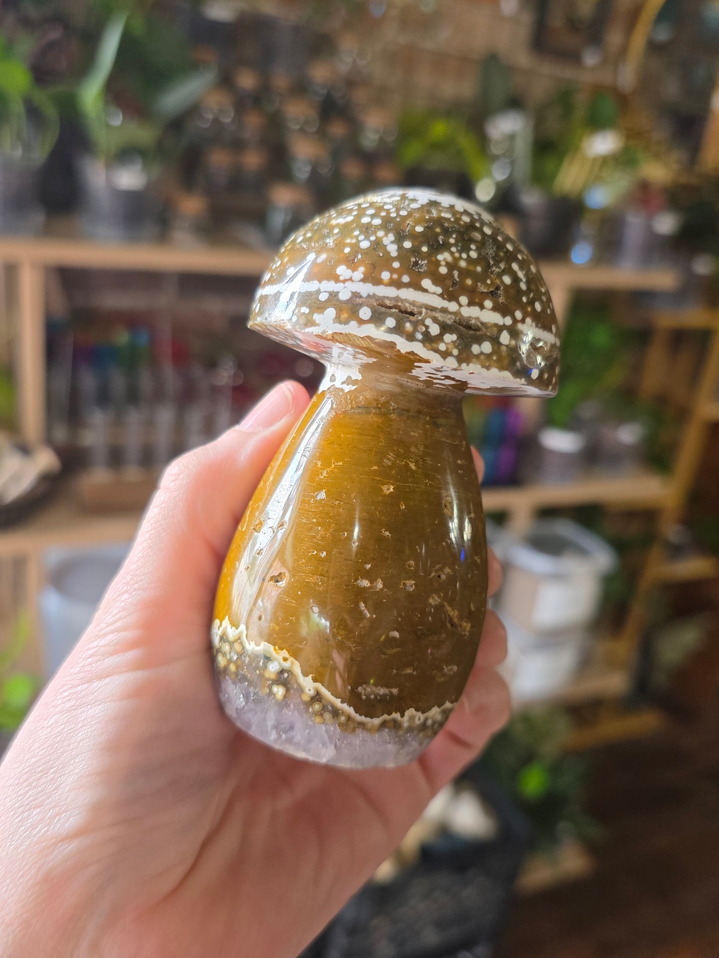 Orbicular Jasper Mushroom