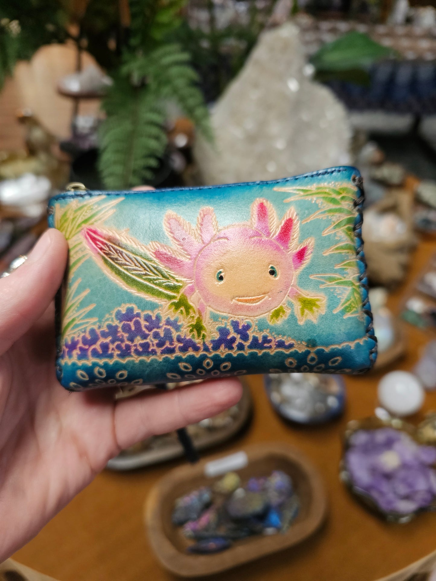 Axoltol Coin purse