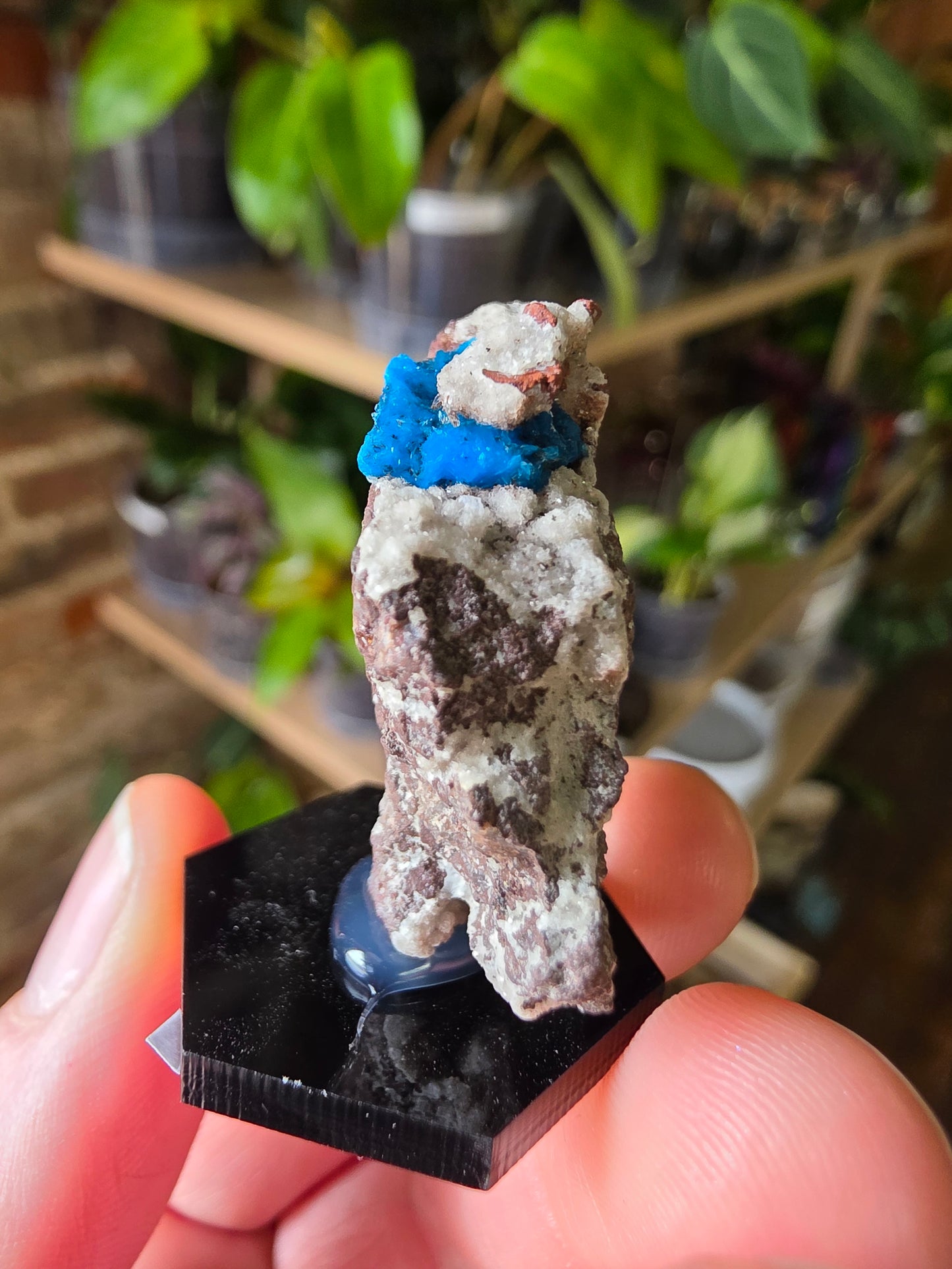 Cavansite On Matrix