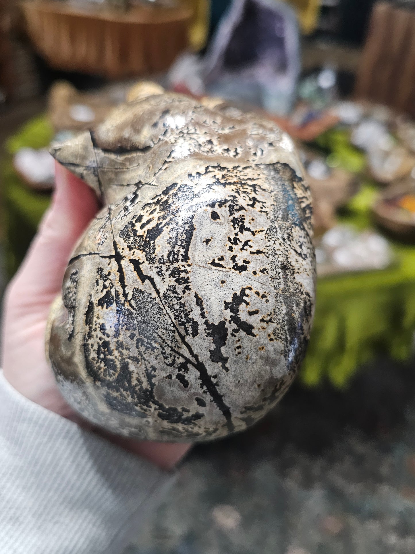 Dendritic Jasper Sleeping Cat