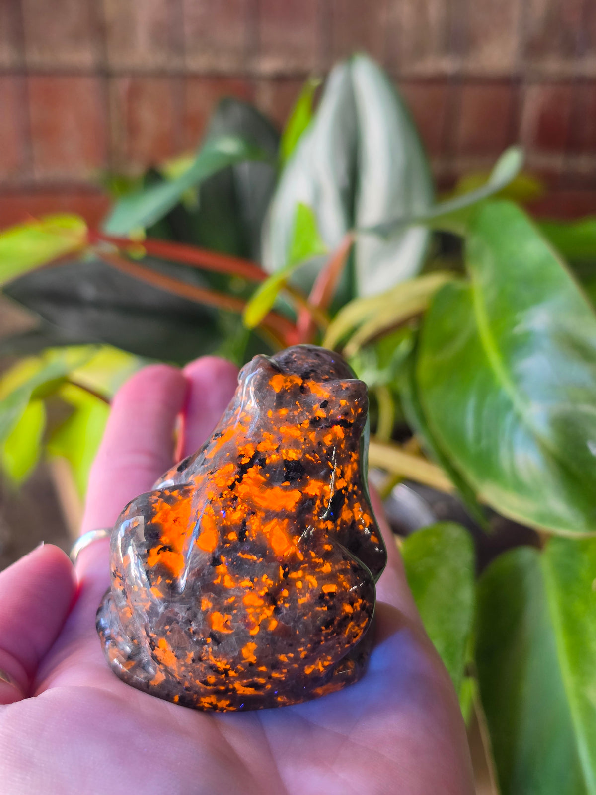 UV Reactive Sodalite Frog Carving