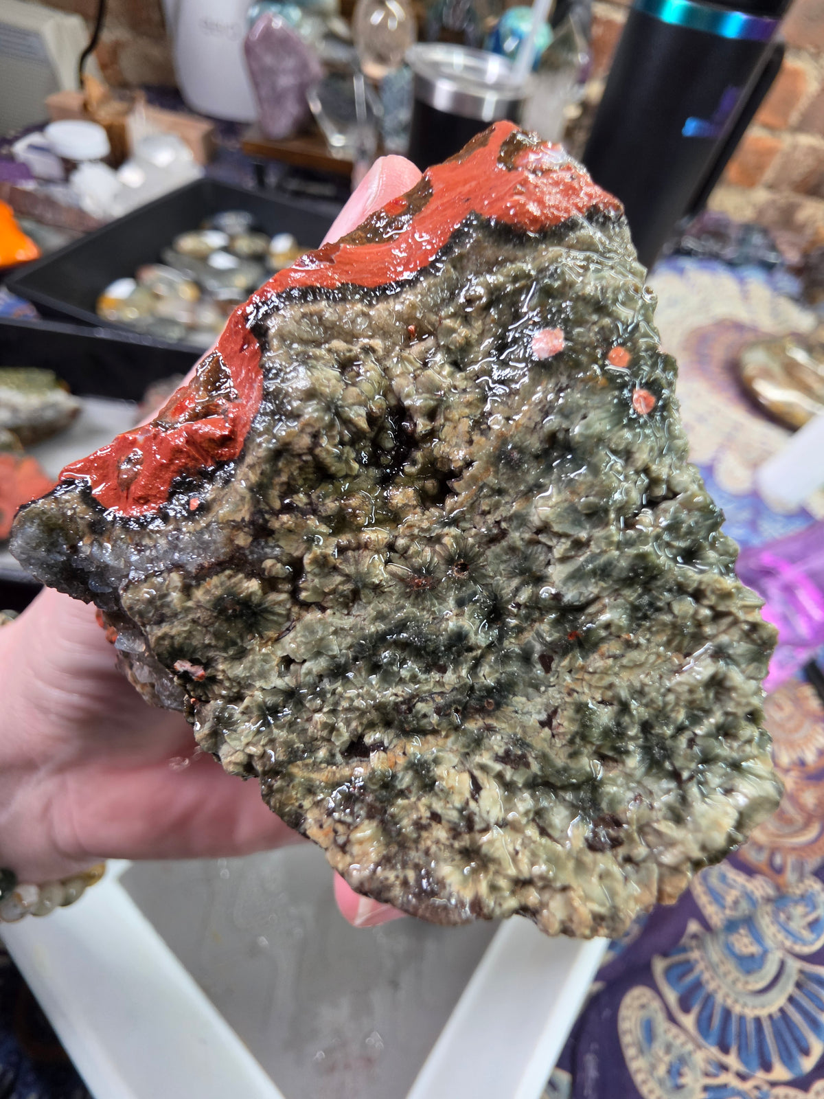 Orbicular Jasper Rough