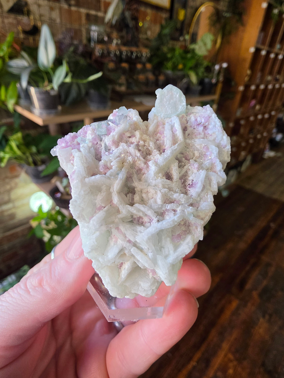 Blue Tourmaline and Lepidolite on Cleavlandite