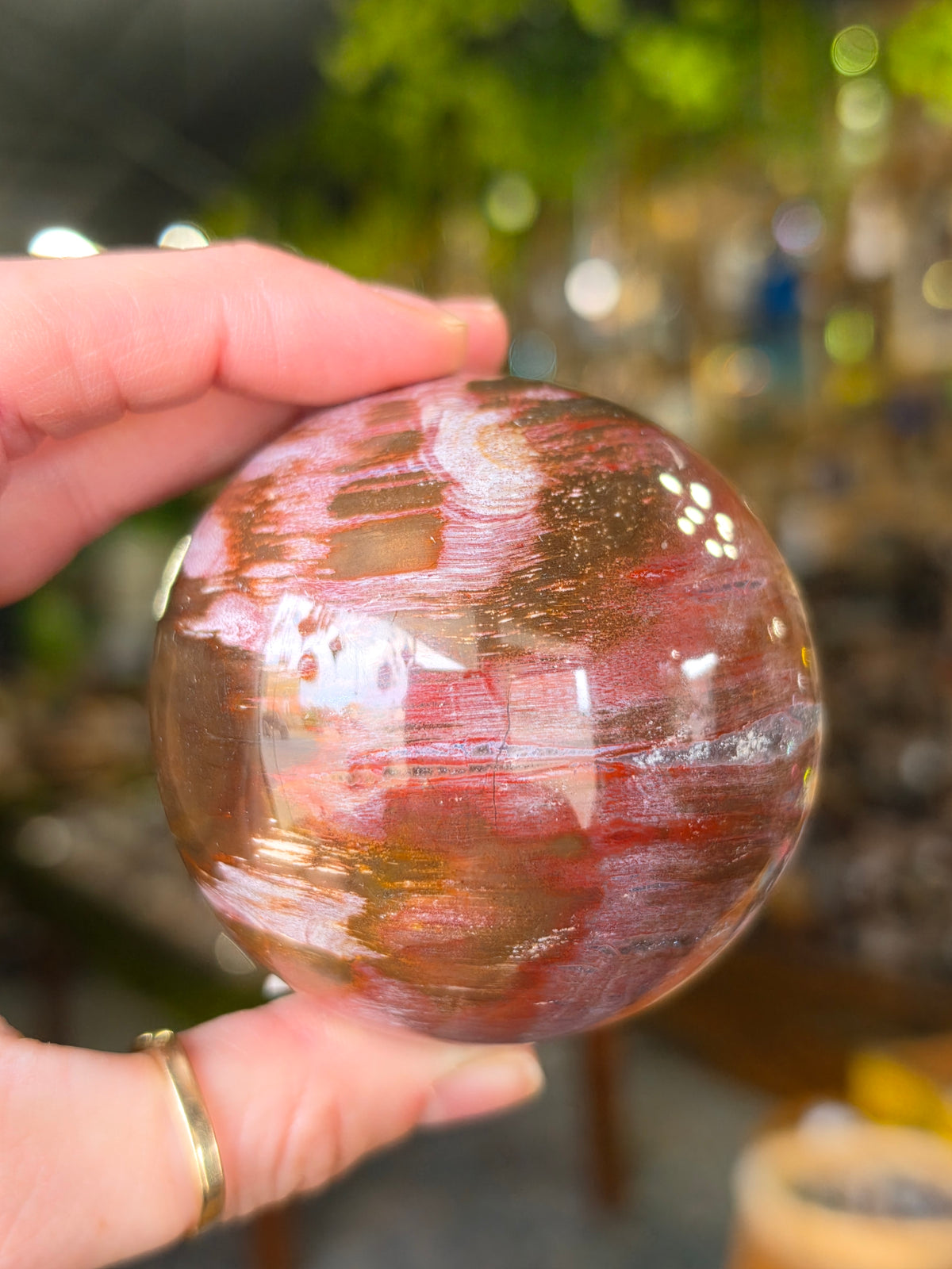 Petrified Wood Sphere