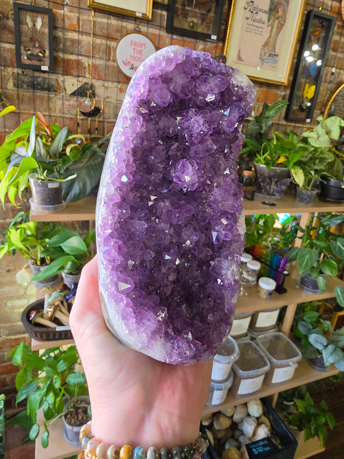 Cut Base Amethyst Cluster