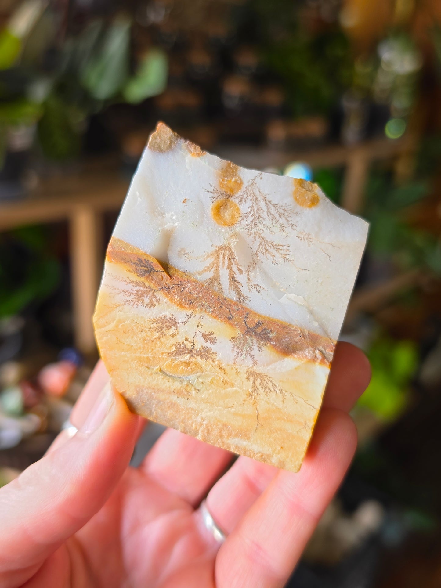 Dendritic Polkadot Agate