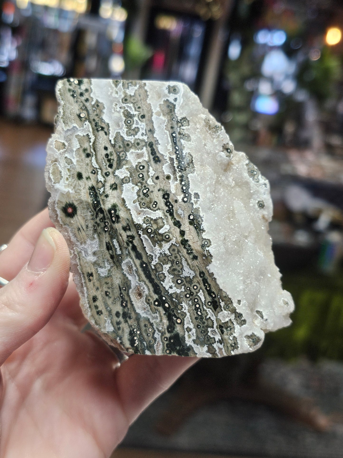 Ocean Jasper Freeform