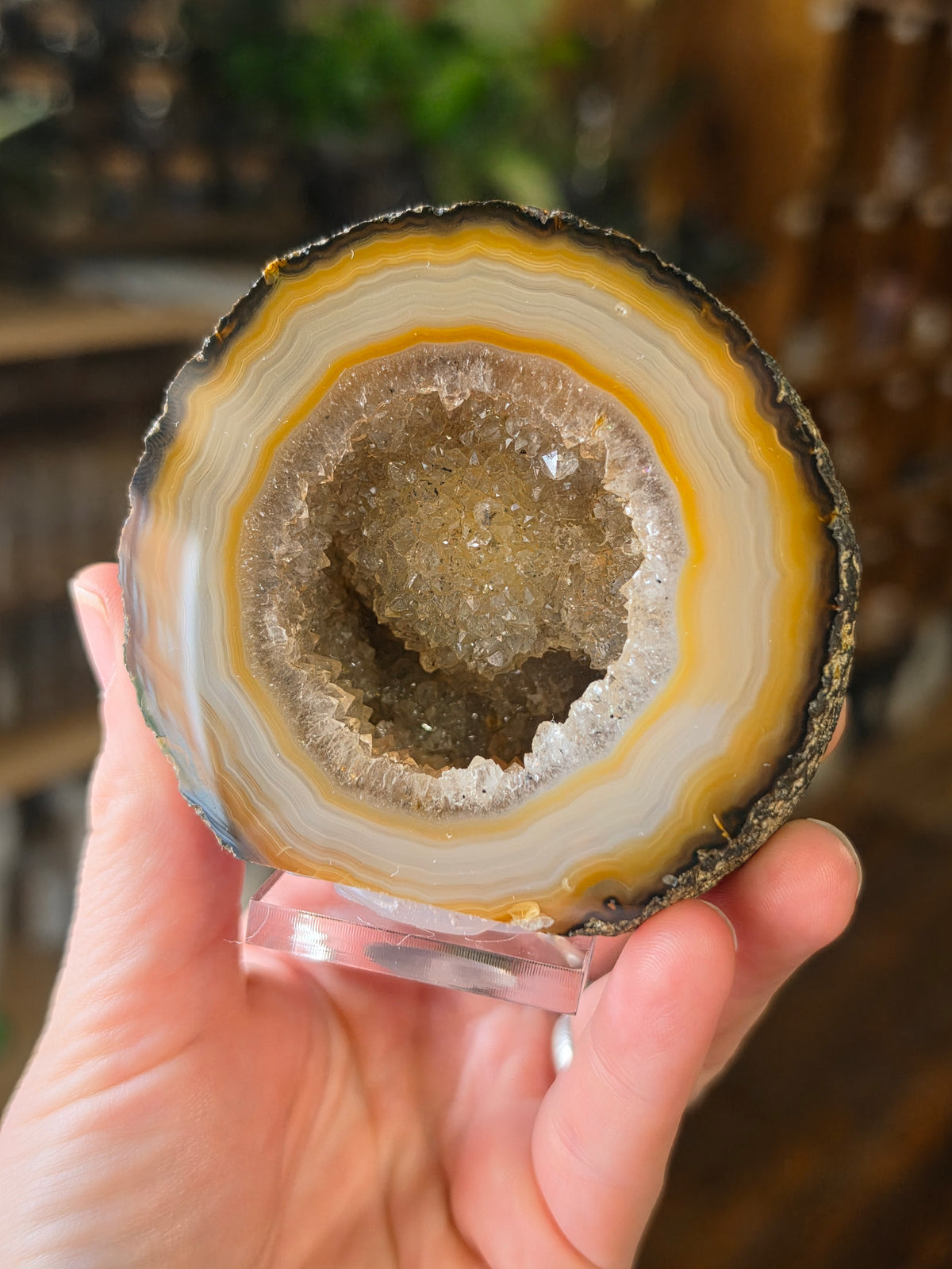 Brazilian Agate Halve