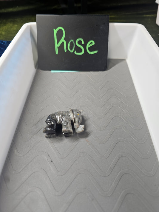 Rose live sale basket 10-24