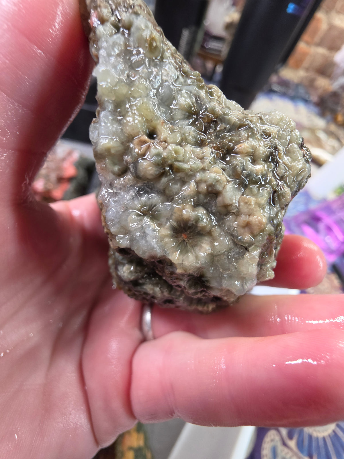 Orbicular Jasper Rough