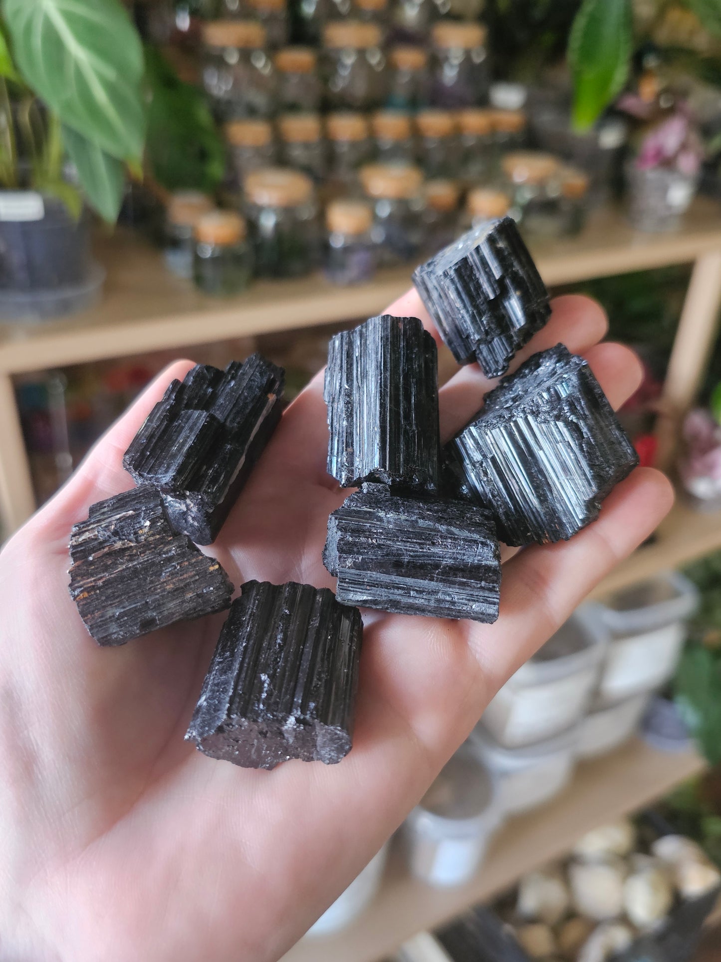Raw Black Tourmaline