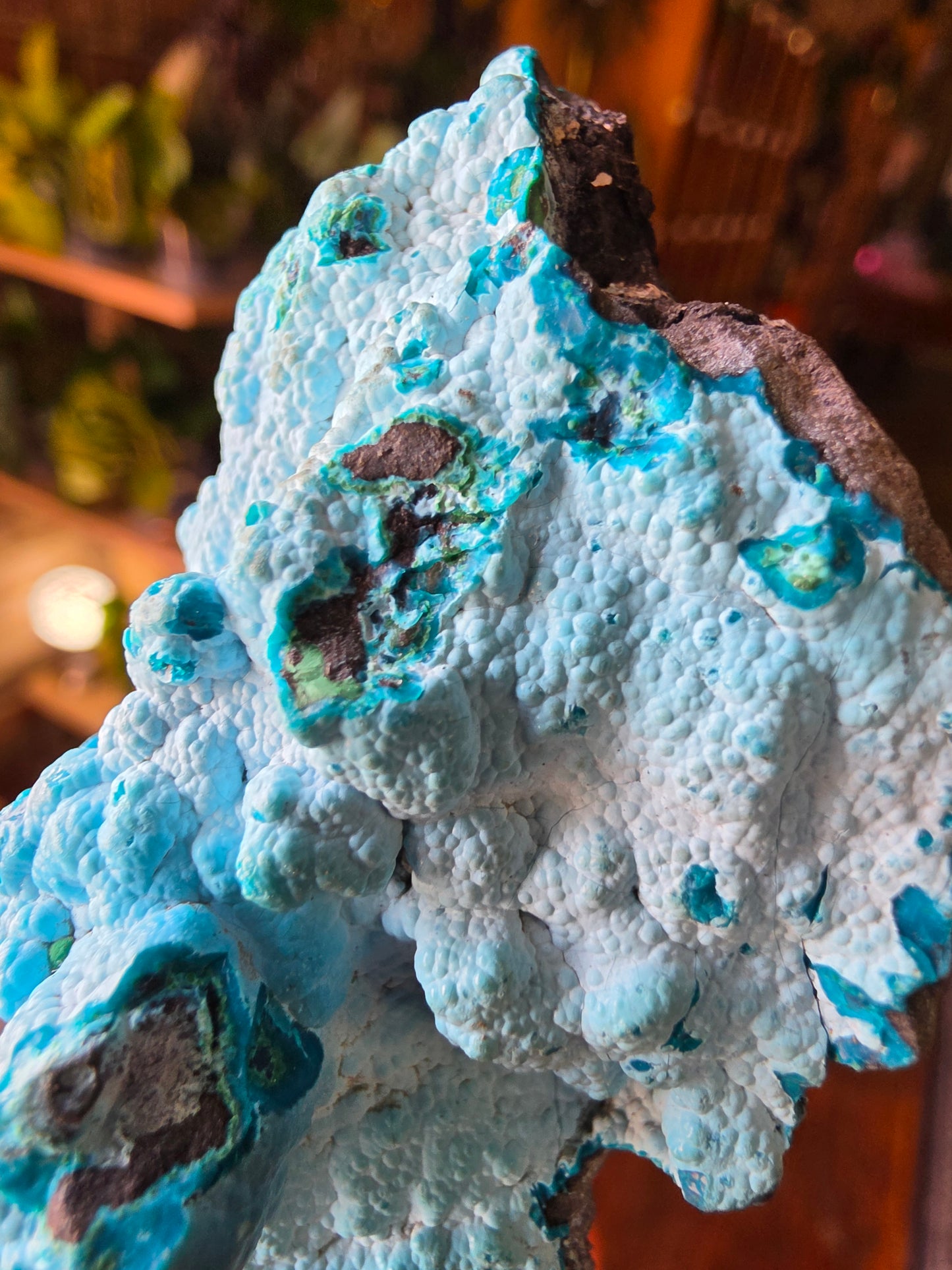 Chrysocolla and Malachite
