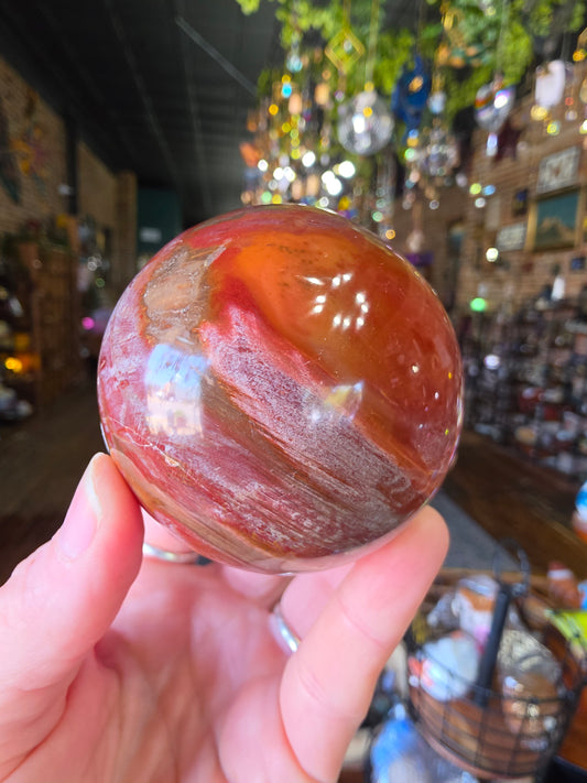 Petrified Wood Sphere