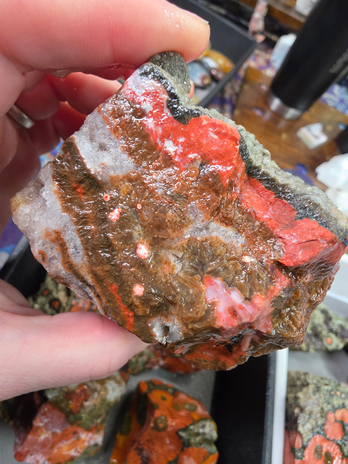Orbicular Jasper Rough