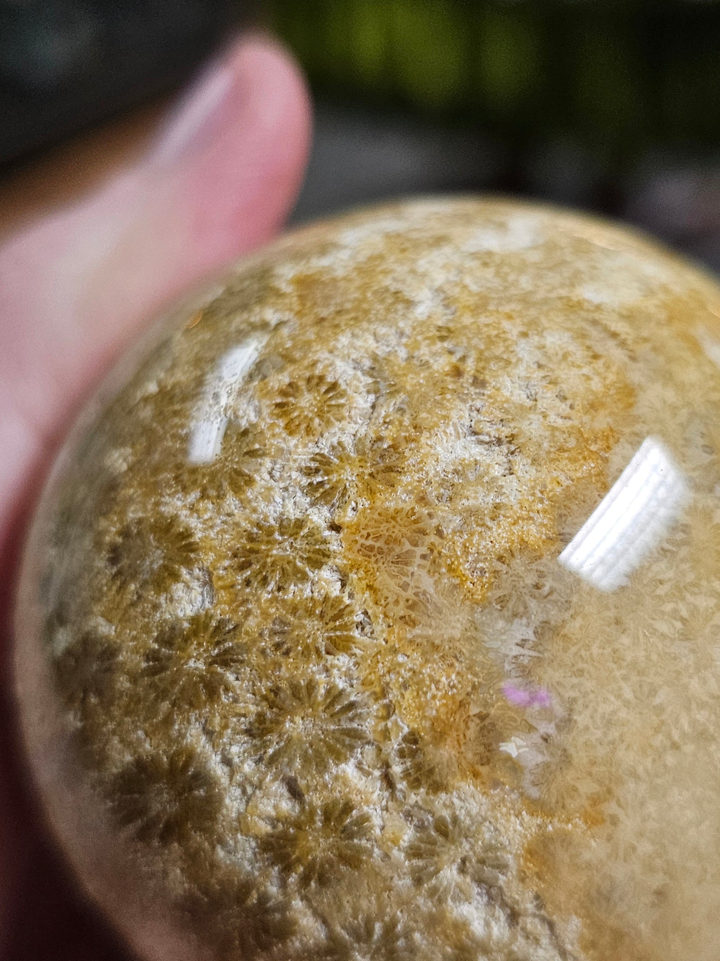 Coral Jade Sphere