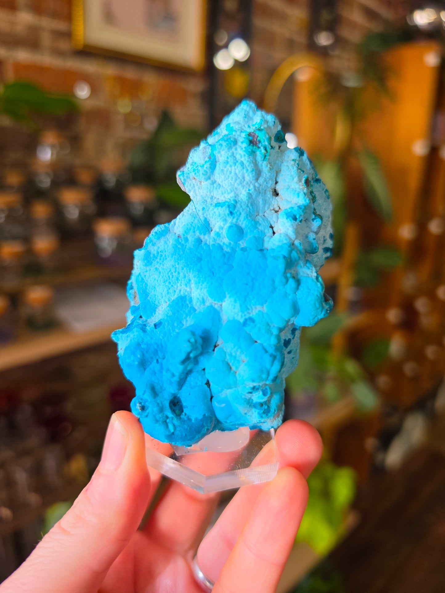 Chrysocolla and Malachite