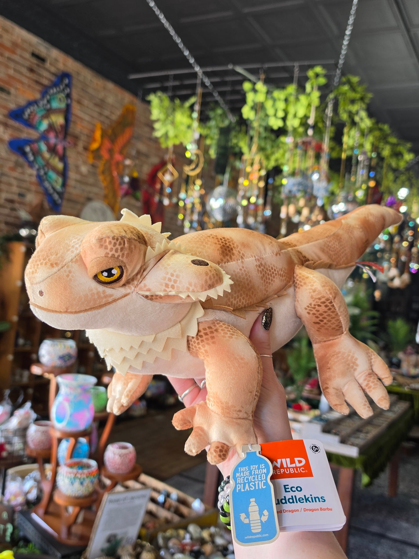 Wild Republic Living Earth Bearded Dragon