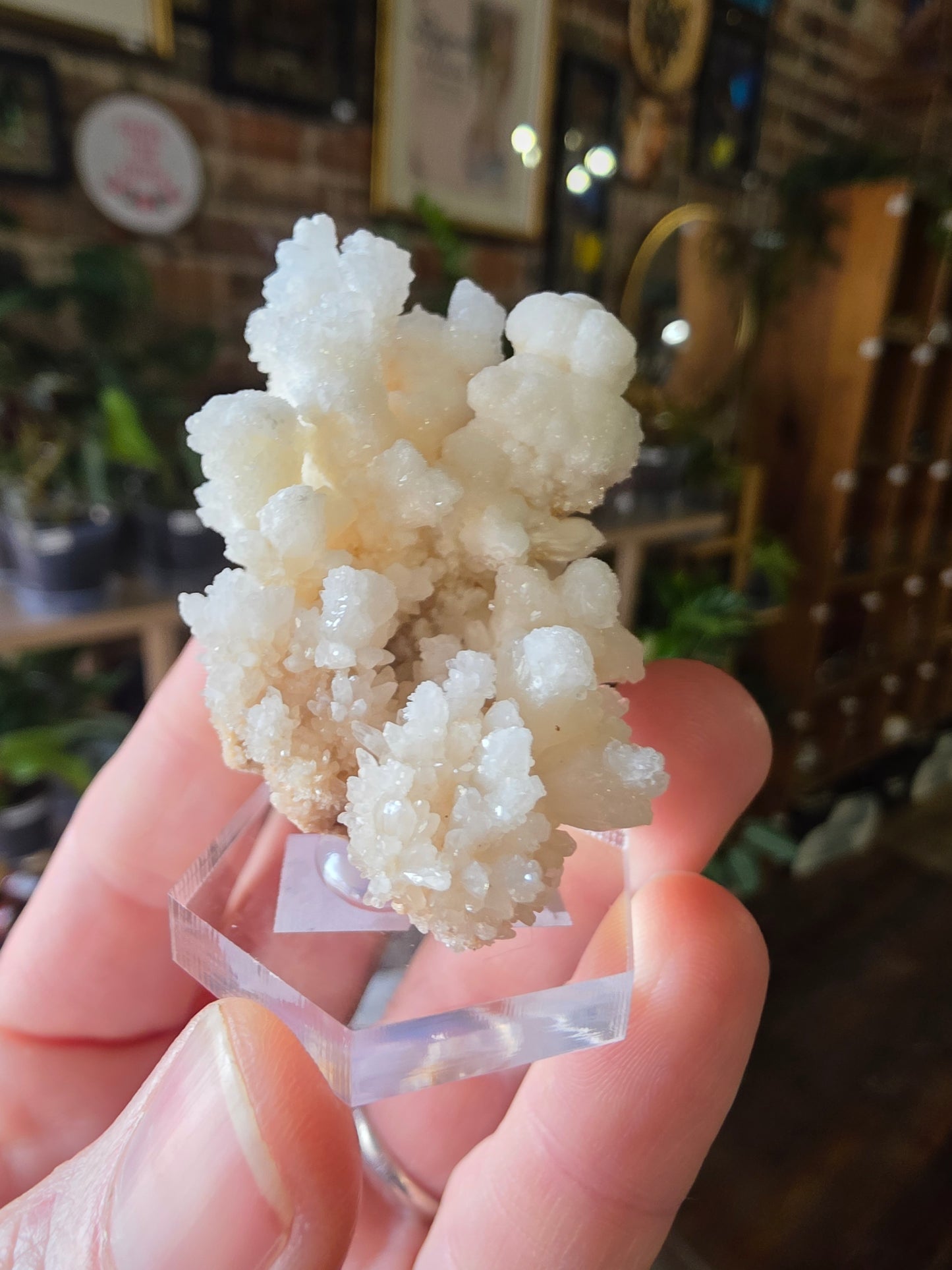 Cave Calcite Cluster