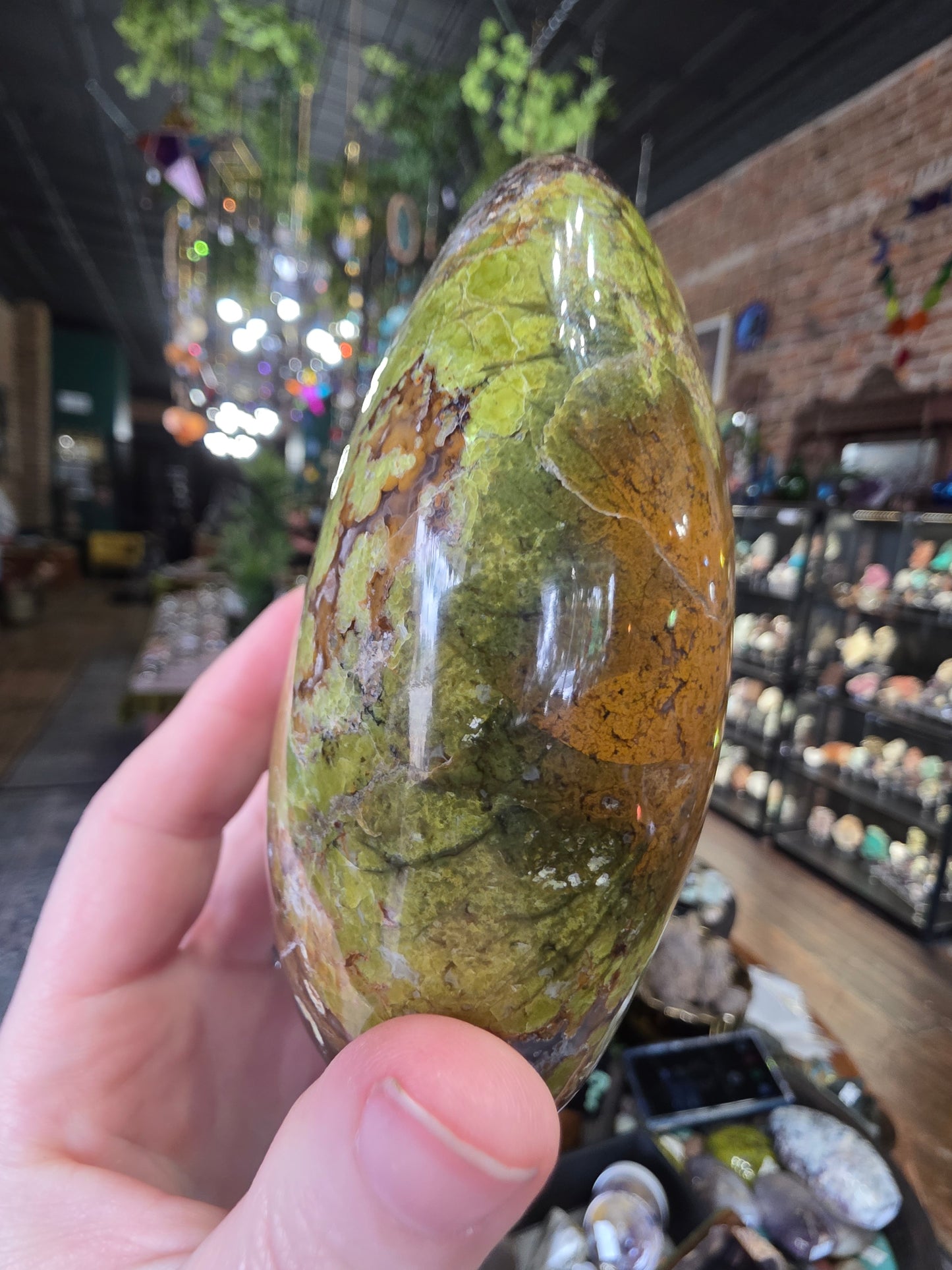 Green Common Opal Freeform