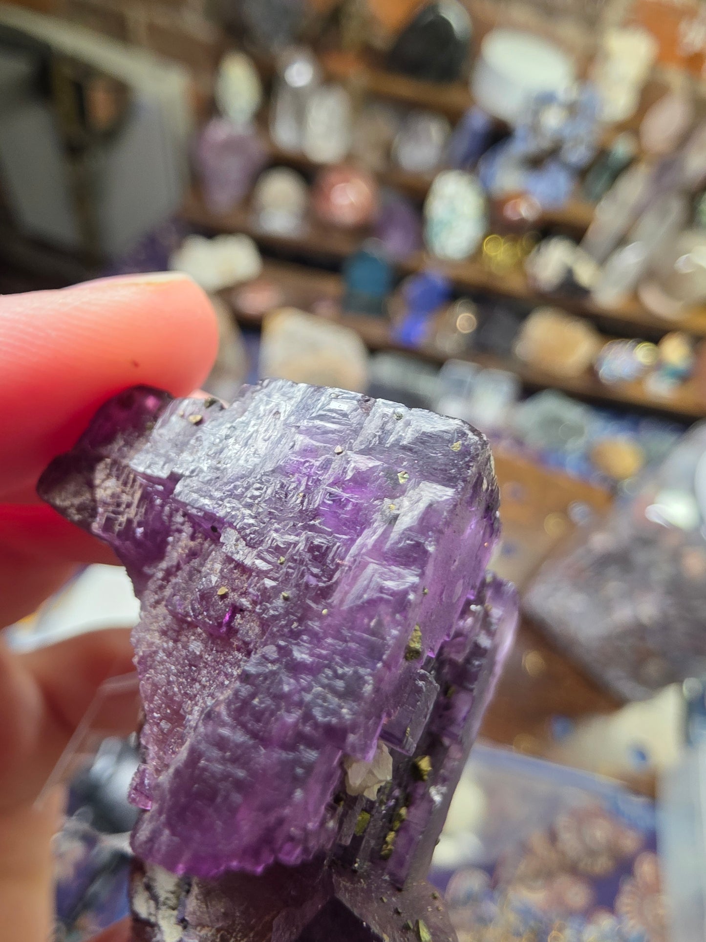 Pyrite on Fluorite