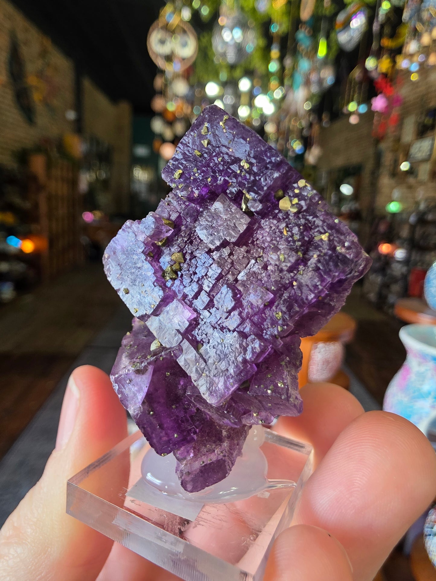 Pyrite on Fluorite
