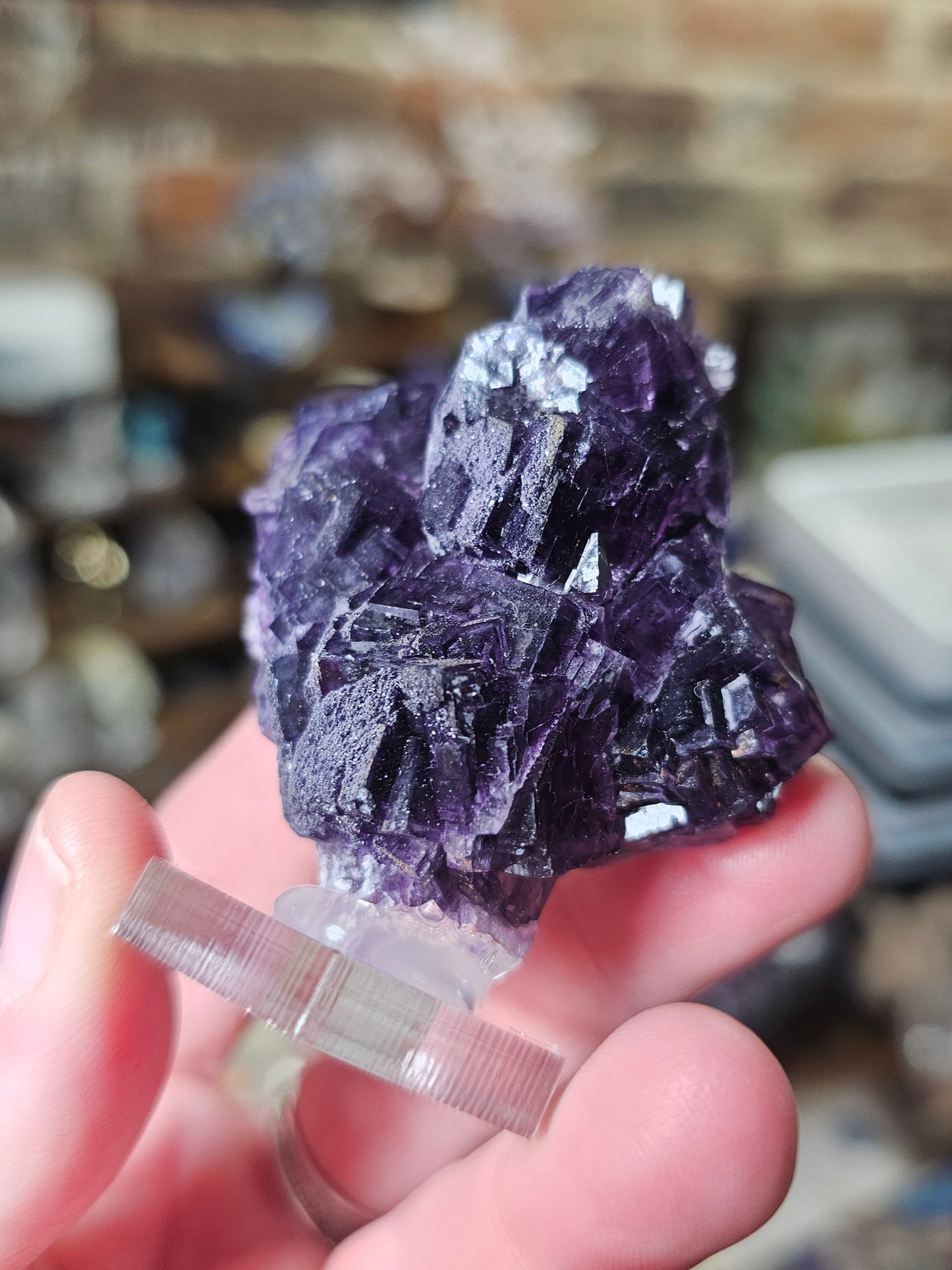 Henan Fluorite