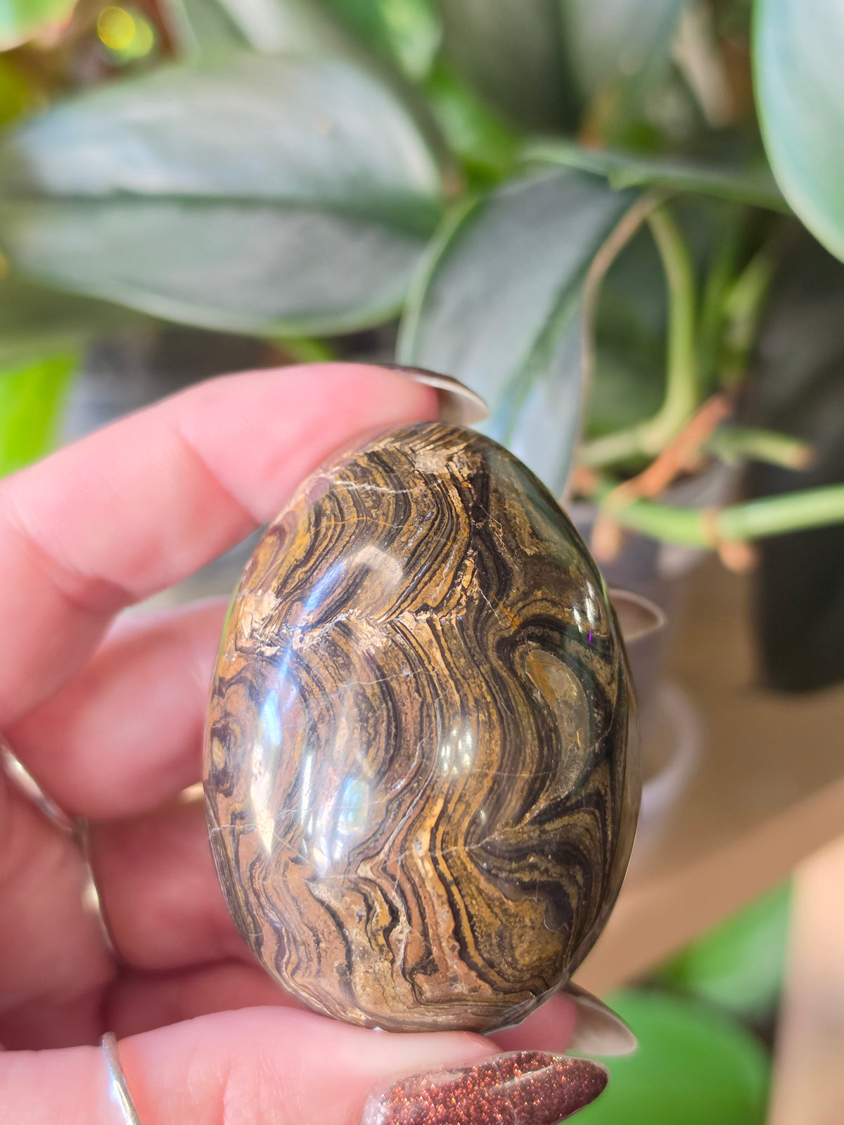 Stromatolite Egg