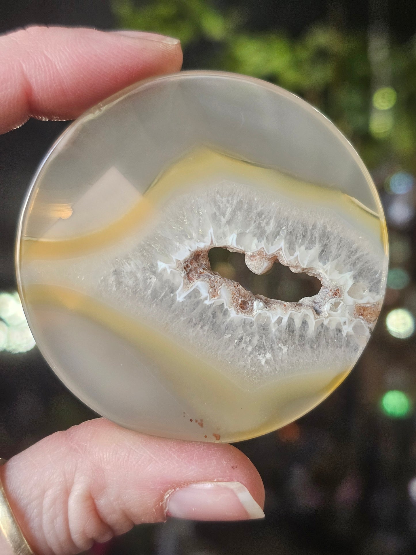 Flower Agate Disc
