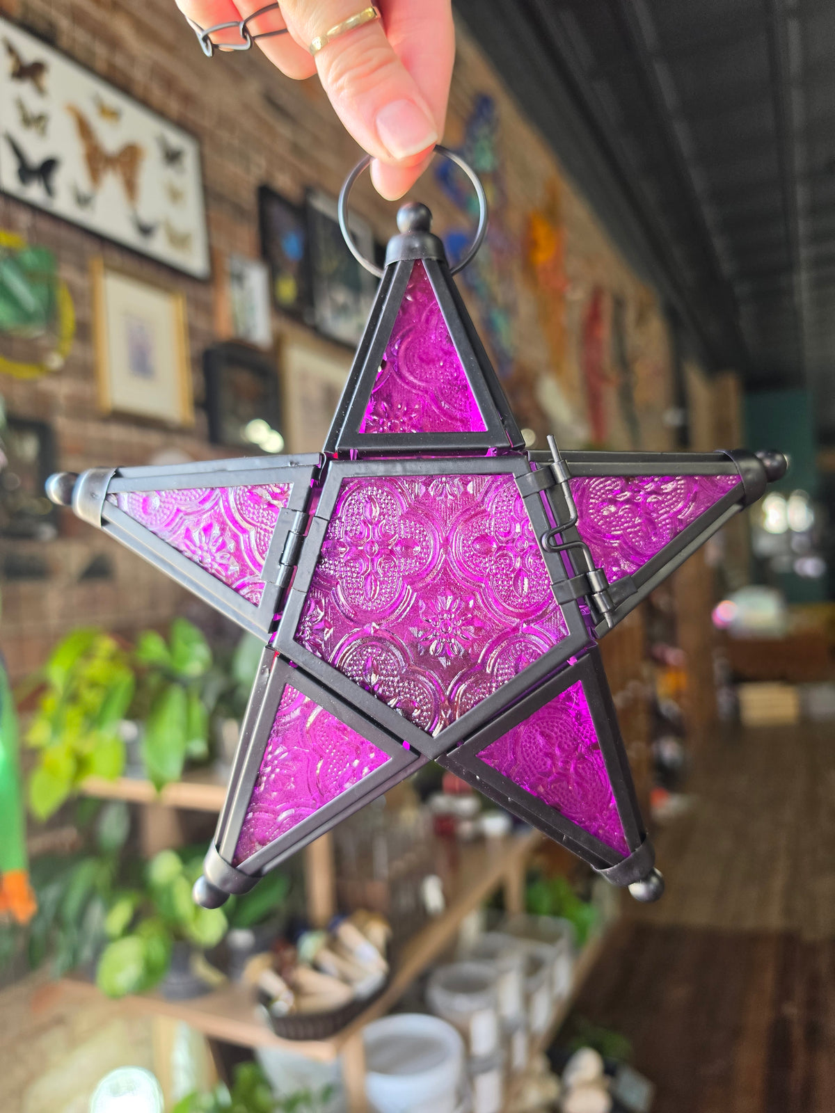 Purple Star Lantern