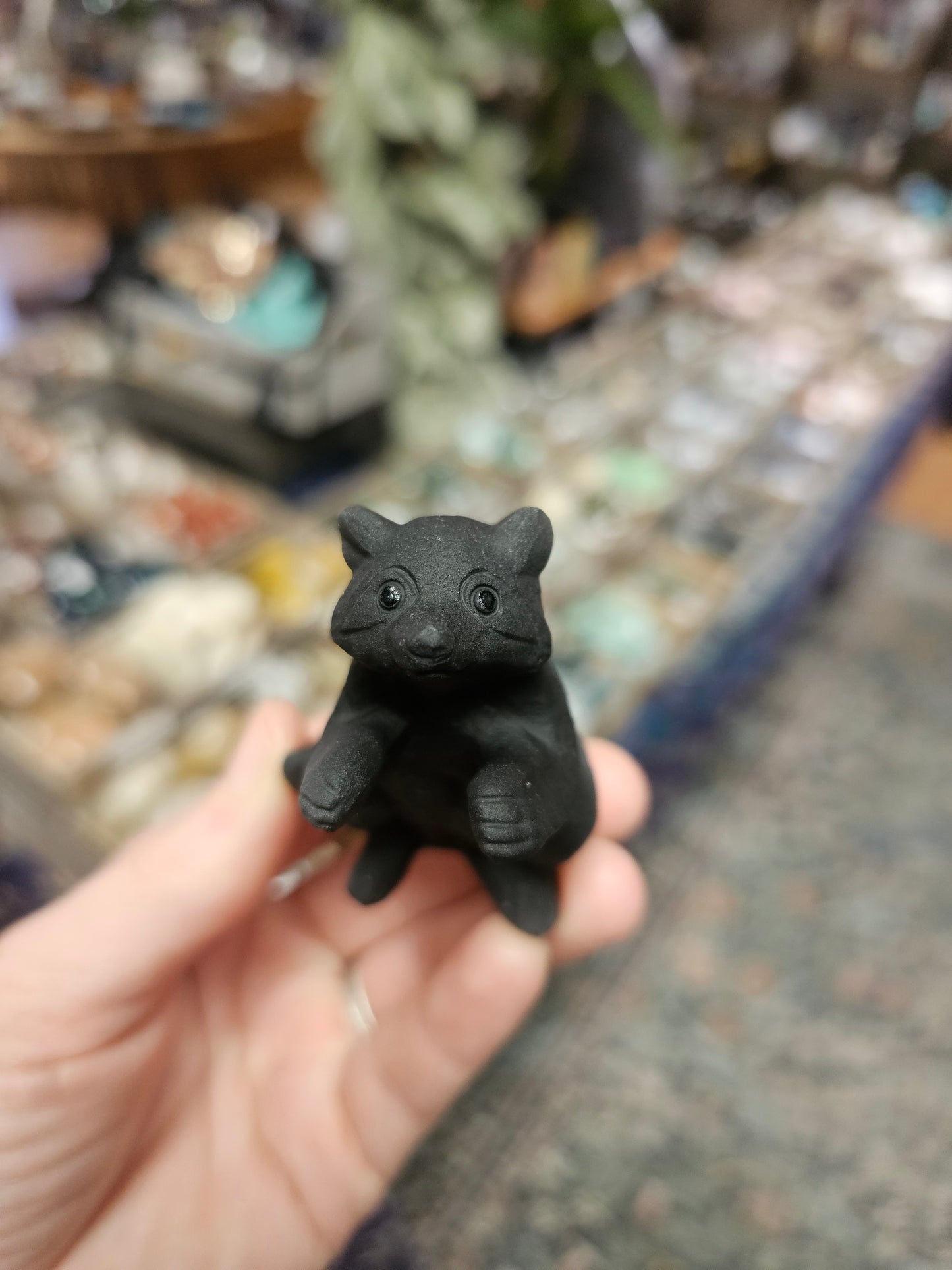 Obsidian Raccoon