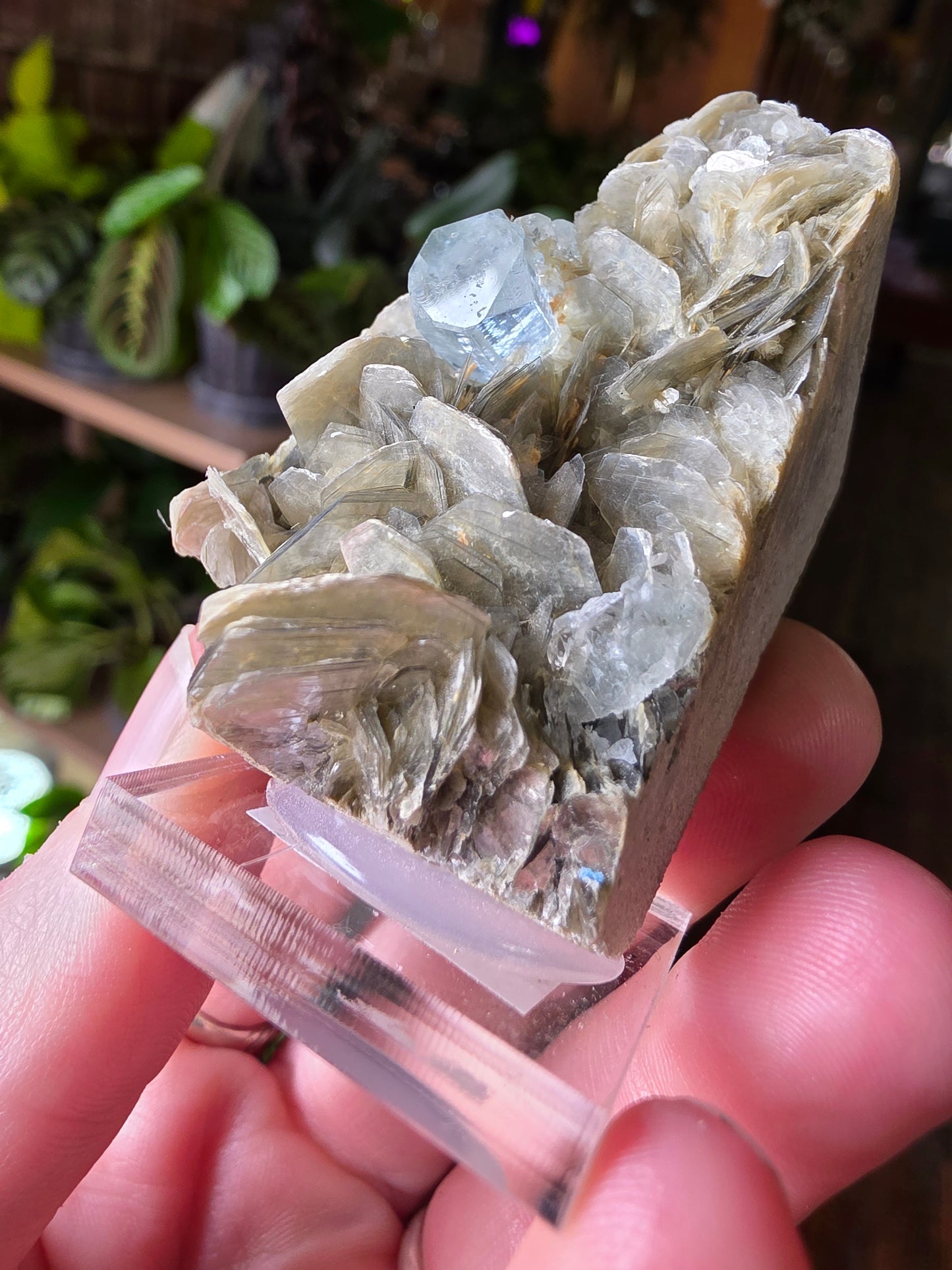 Aquamarine on Muscovite