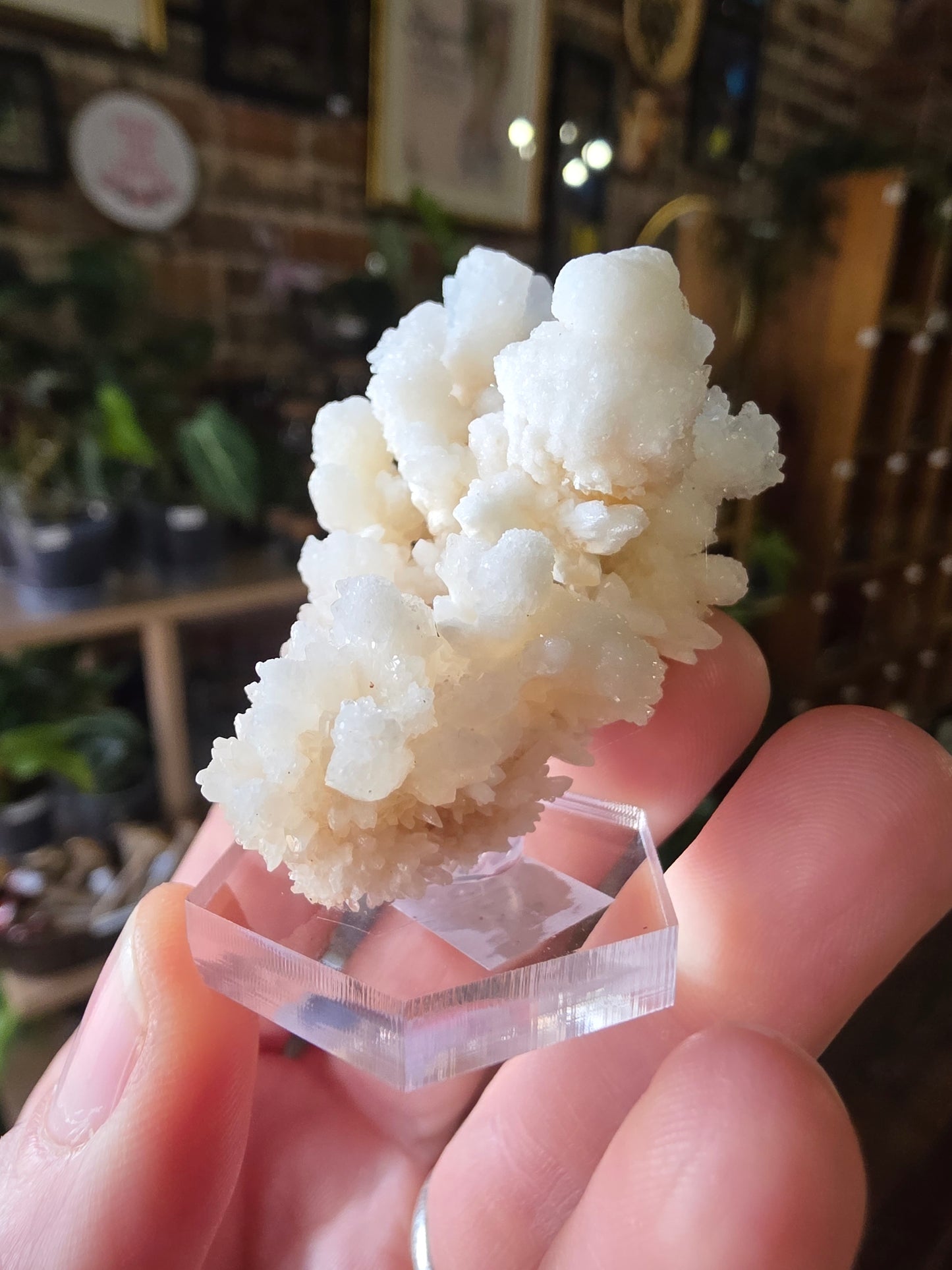 Cave Calcite Cluster