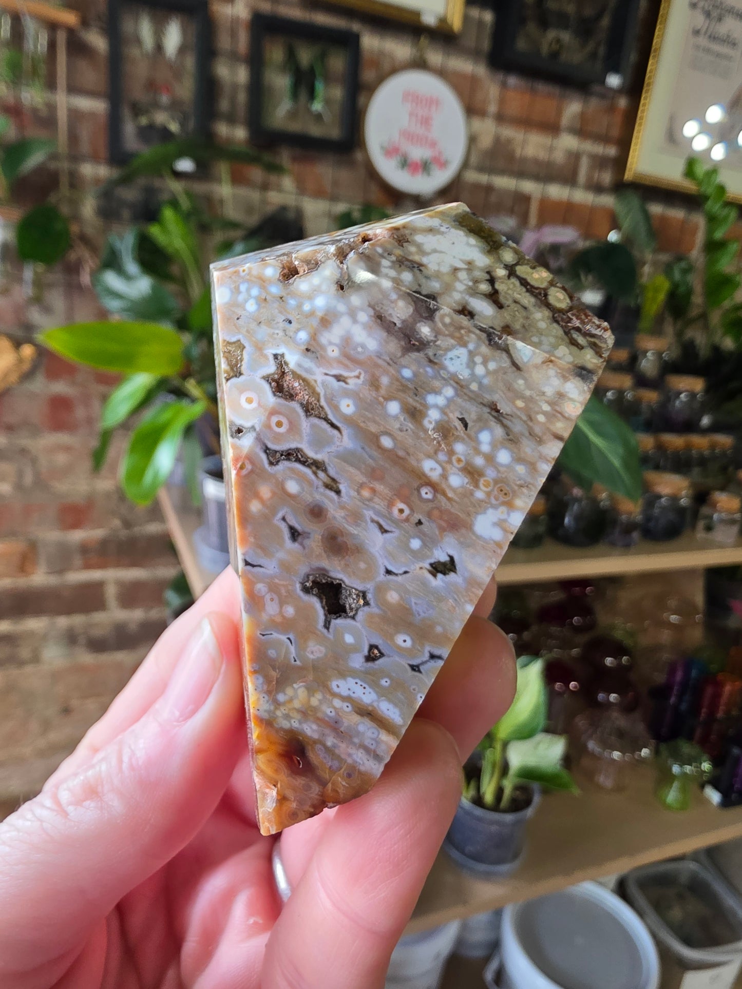 Ocean Jasper Freeform