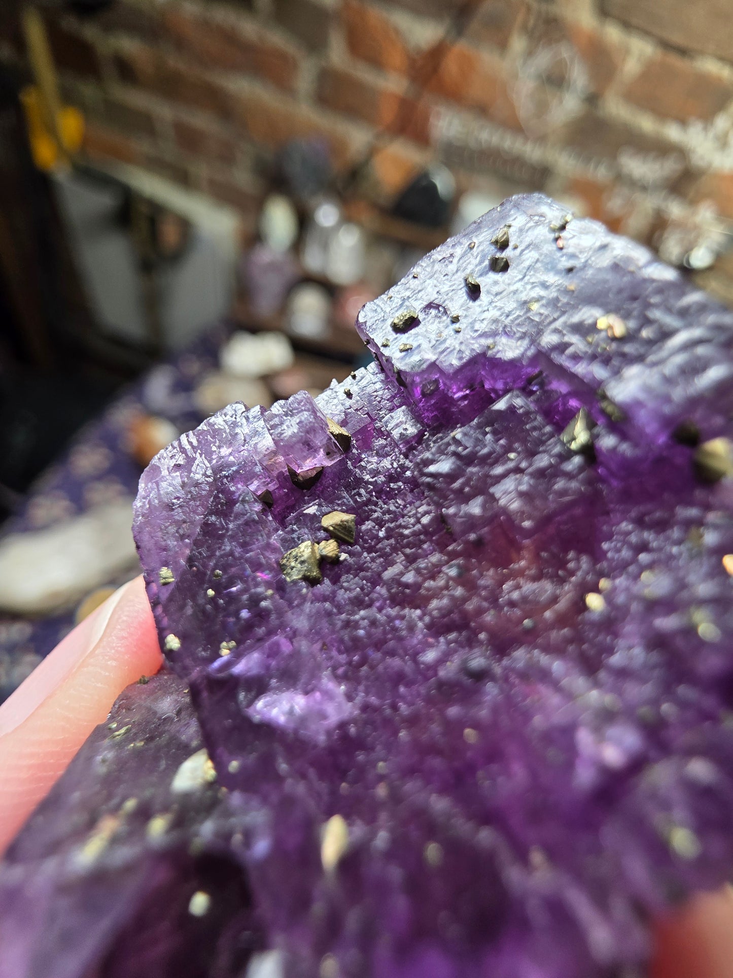 Pyrite on Fluorite
