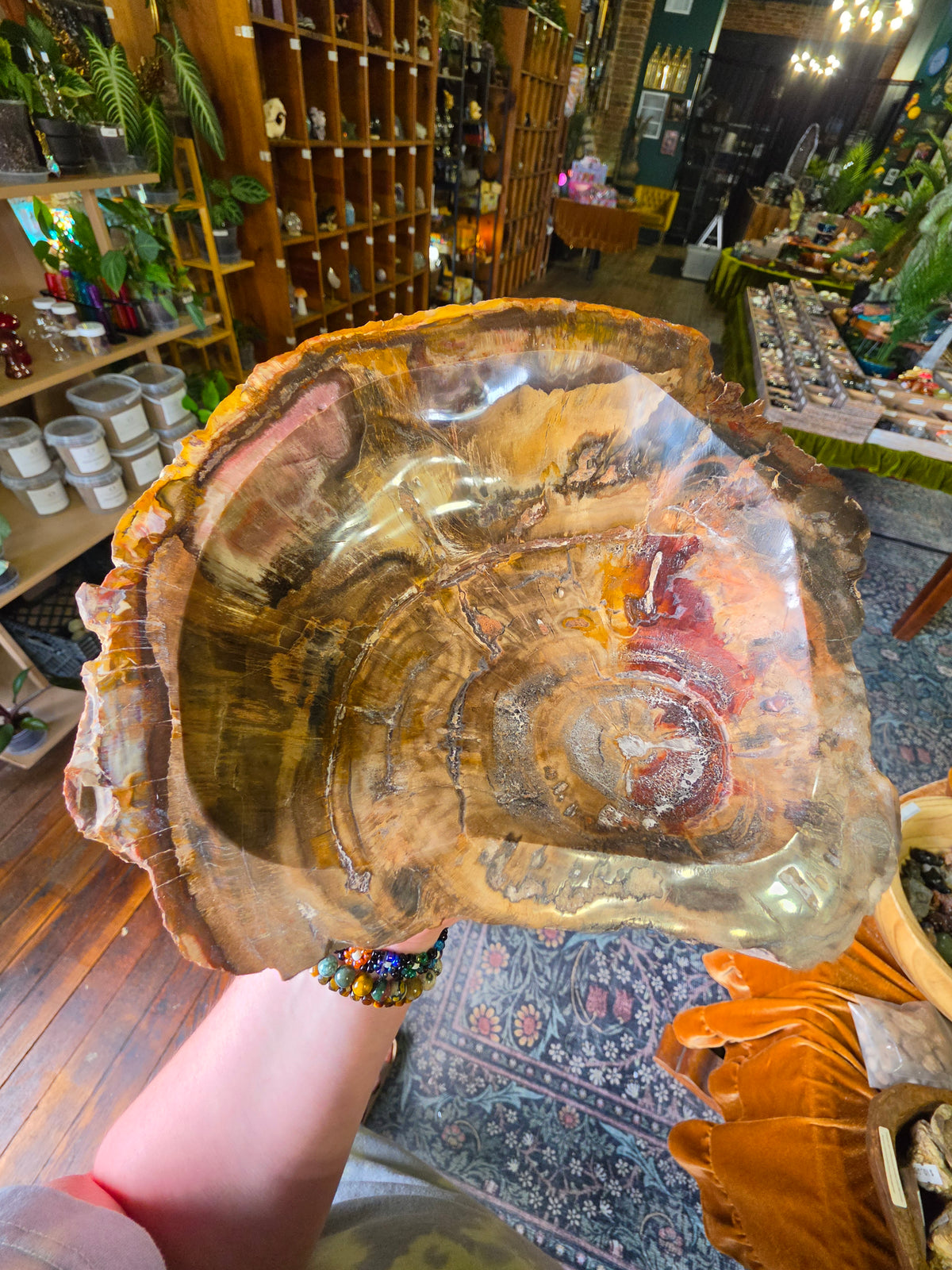 Petrified Wood Bowl