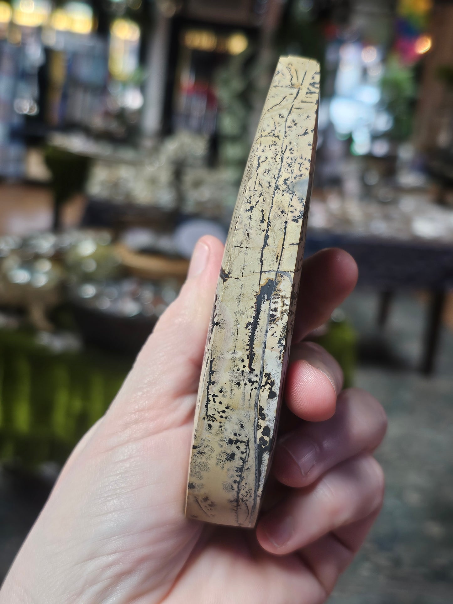 Dendritic Jasper Freeform