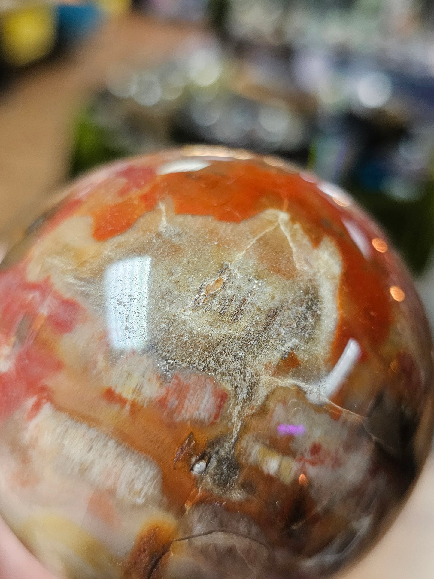 Petrified Wood Sphere