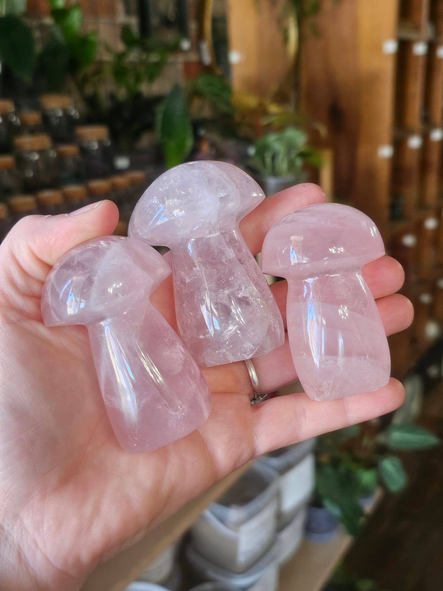 Star Rose Quartz Mushrooms