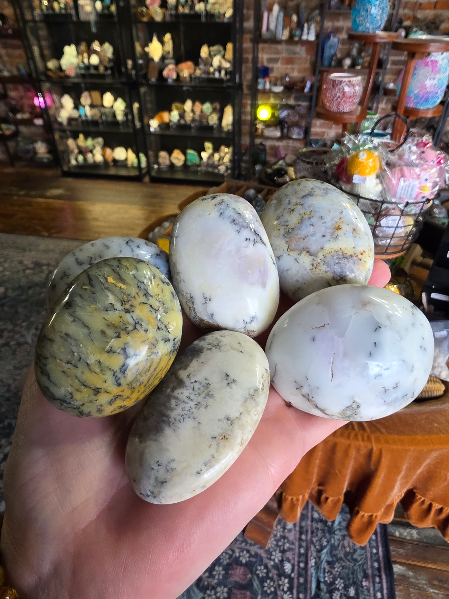 Dendritic Common Opal Palm Stone